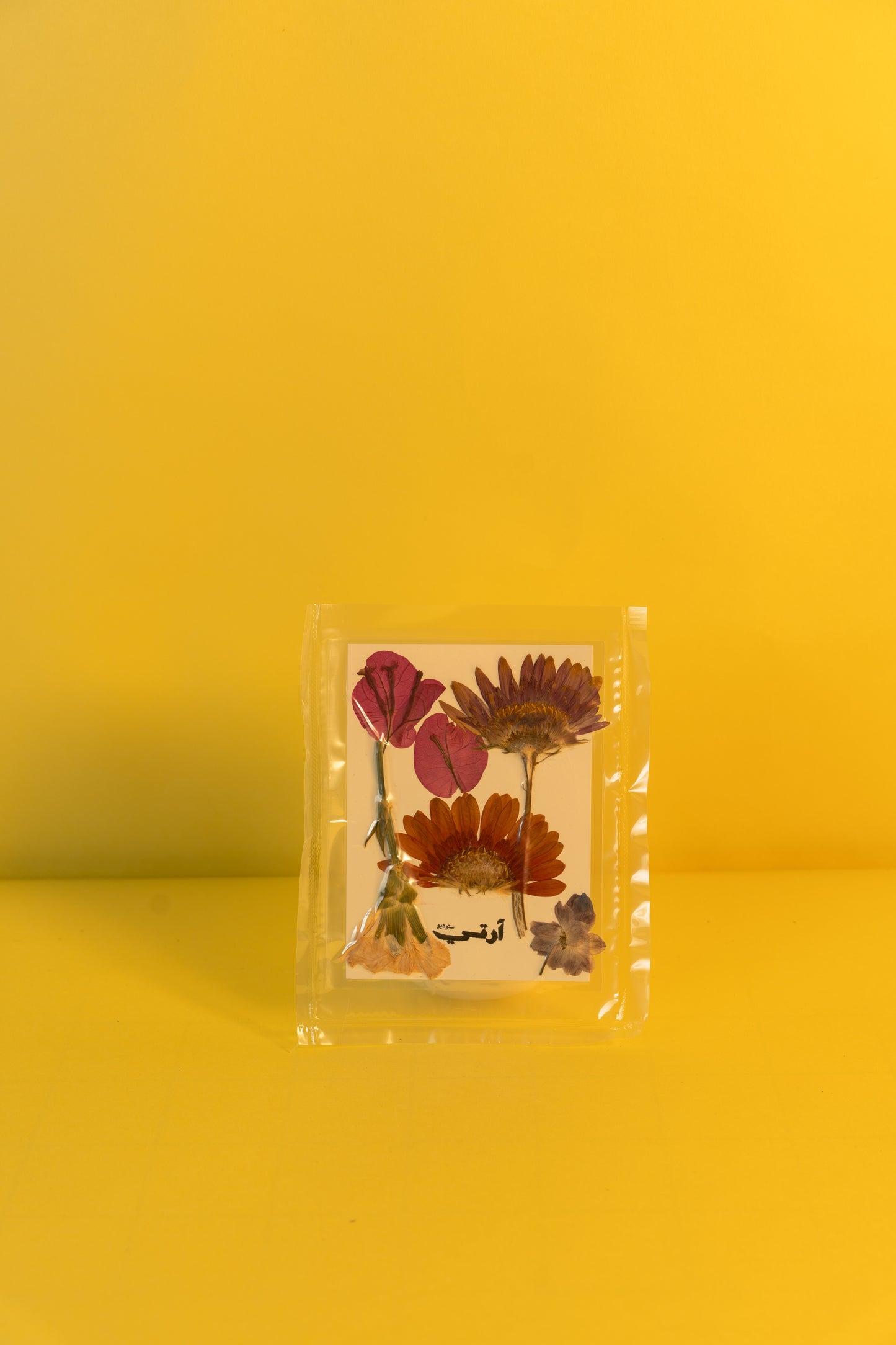 Assorted dried Flowers - Pack