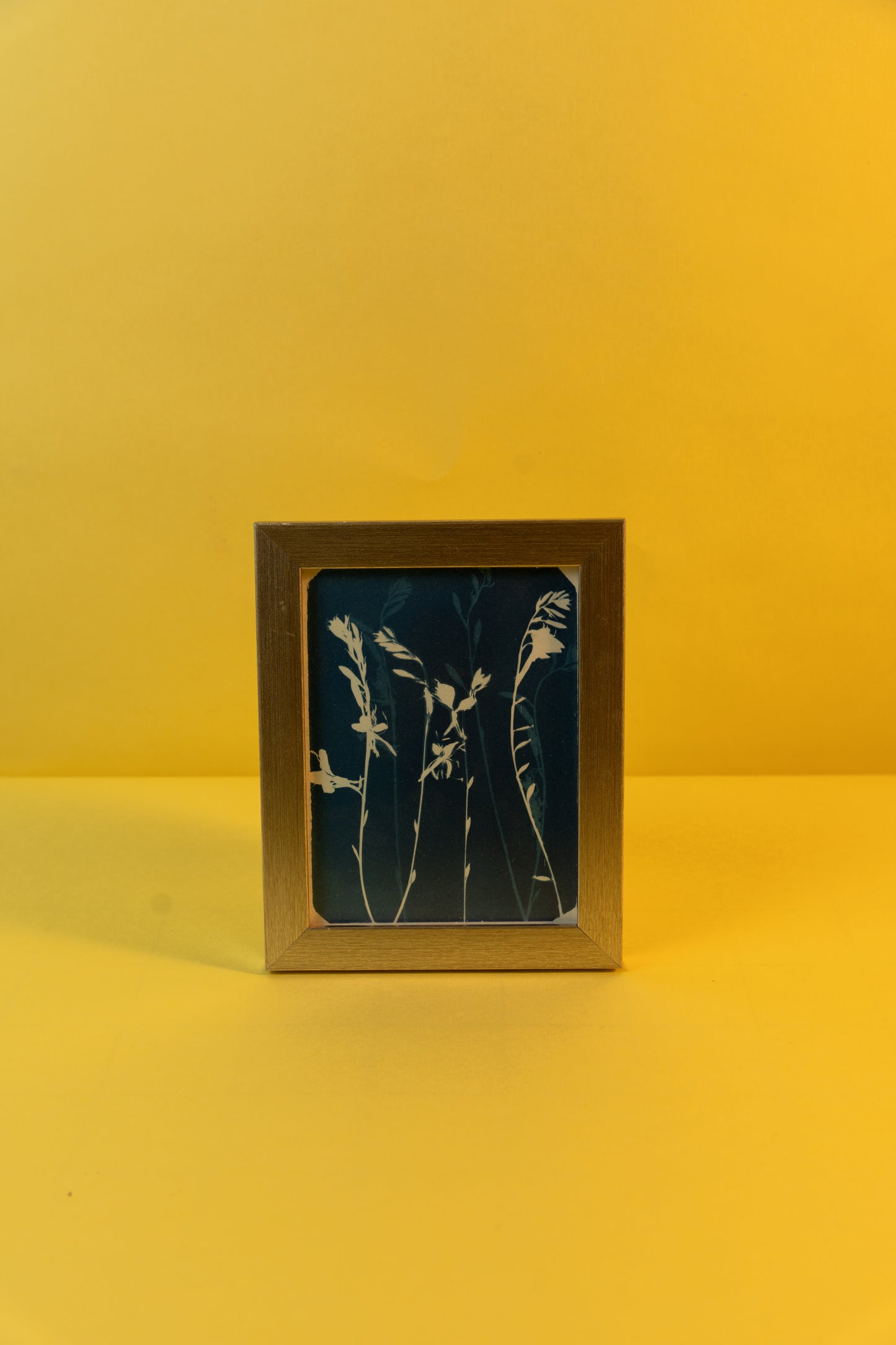 Nature in Motion (15x18.5cm)