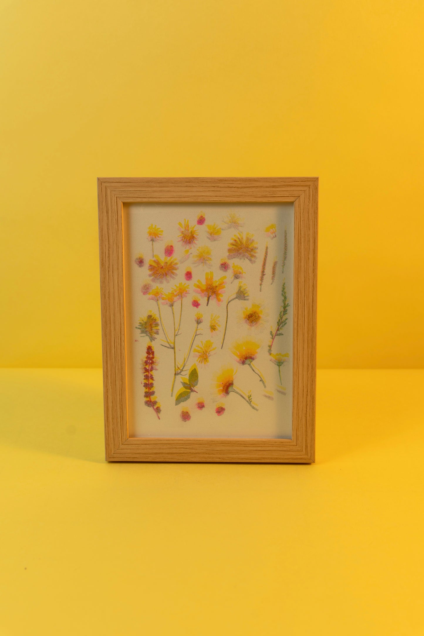Flower of Kuwait Poster (A5)