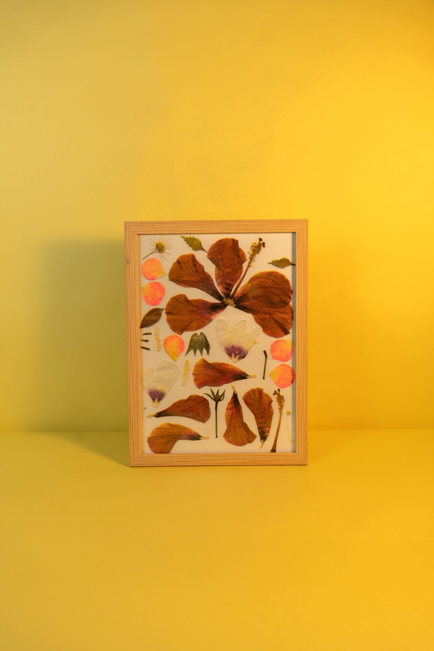 Hibiscus Flower Poster (A3)