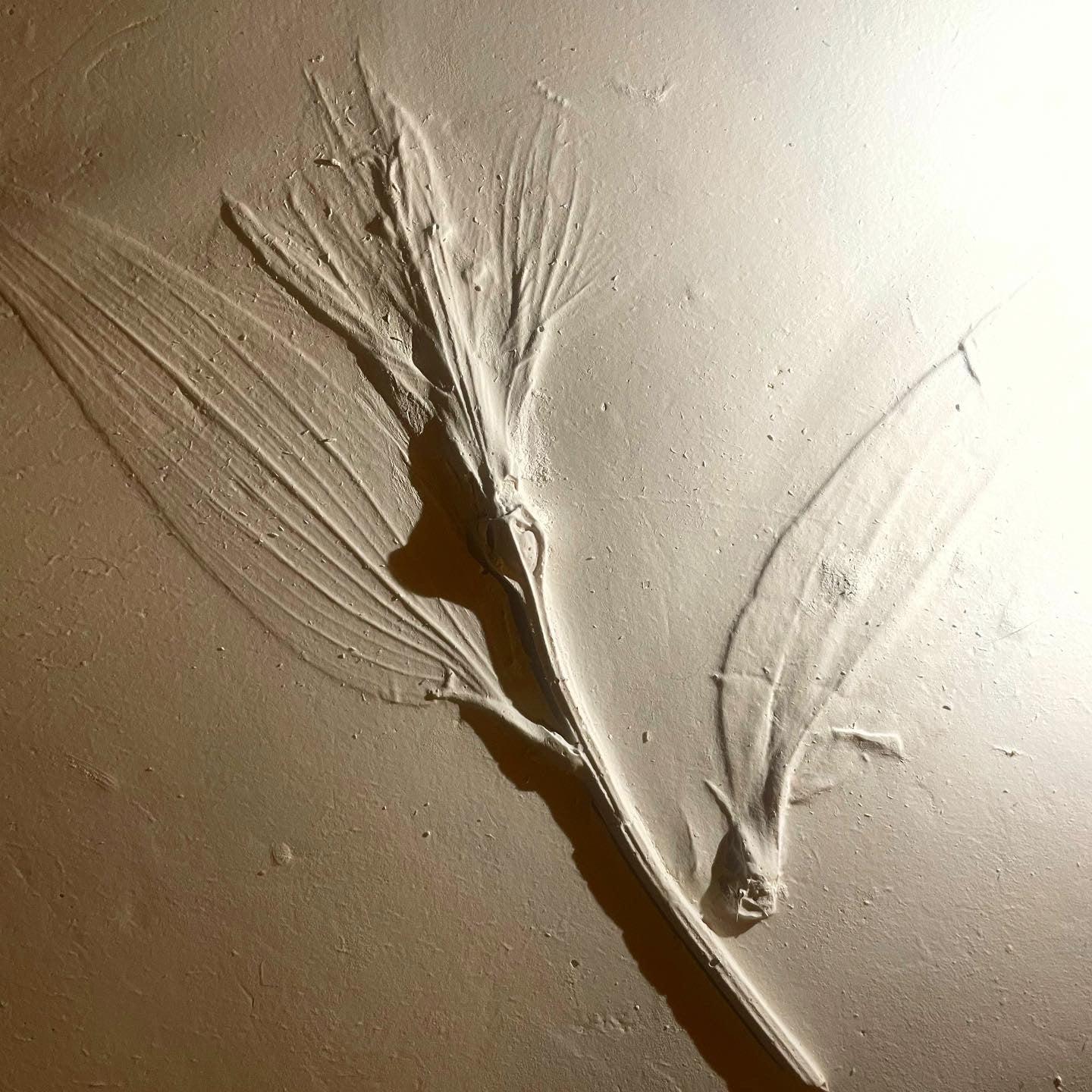 Floral Fossil Workshop - ورشة بلاطة الورد