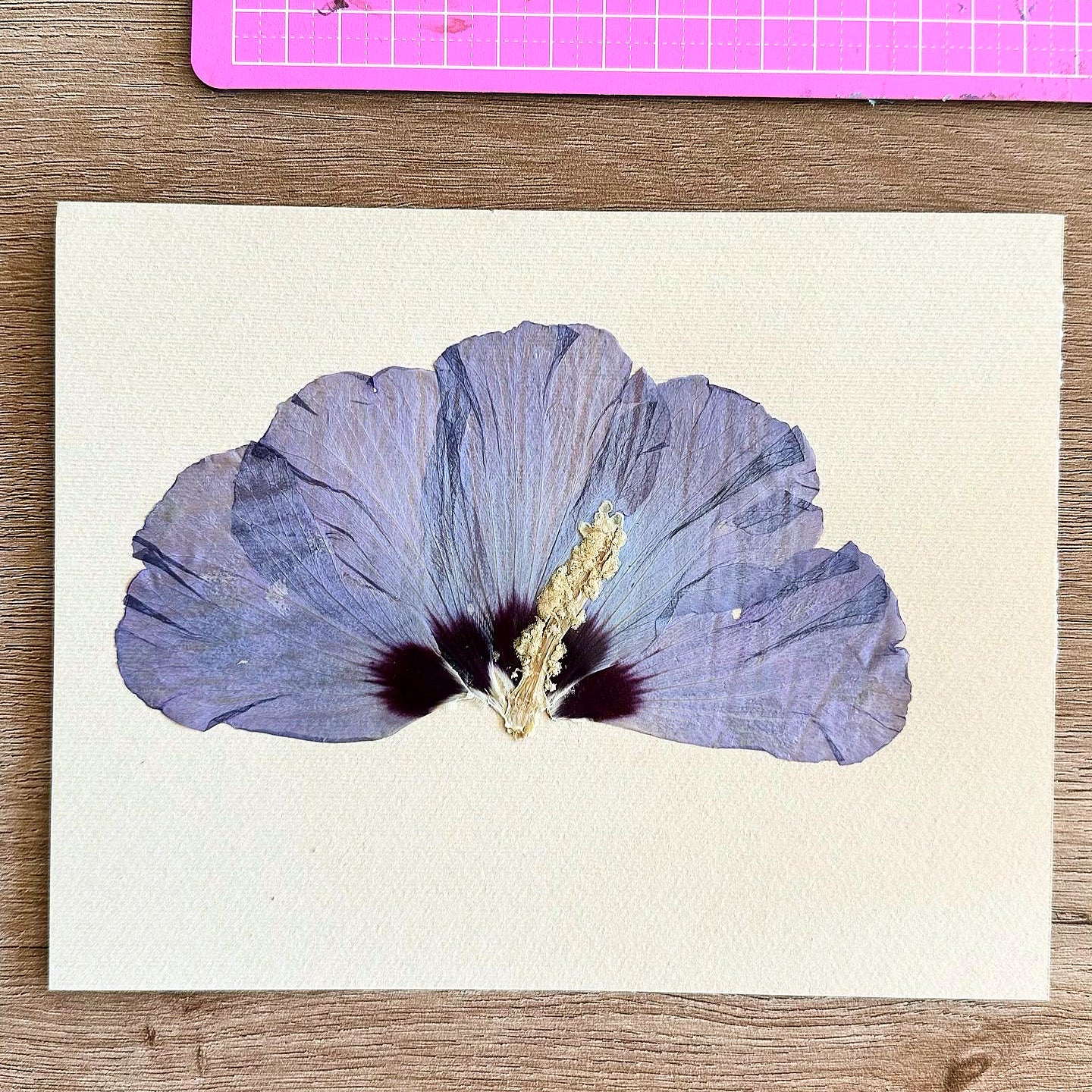 Art with Dried flowers Workshop - الفن مع الورد المجفف