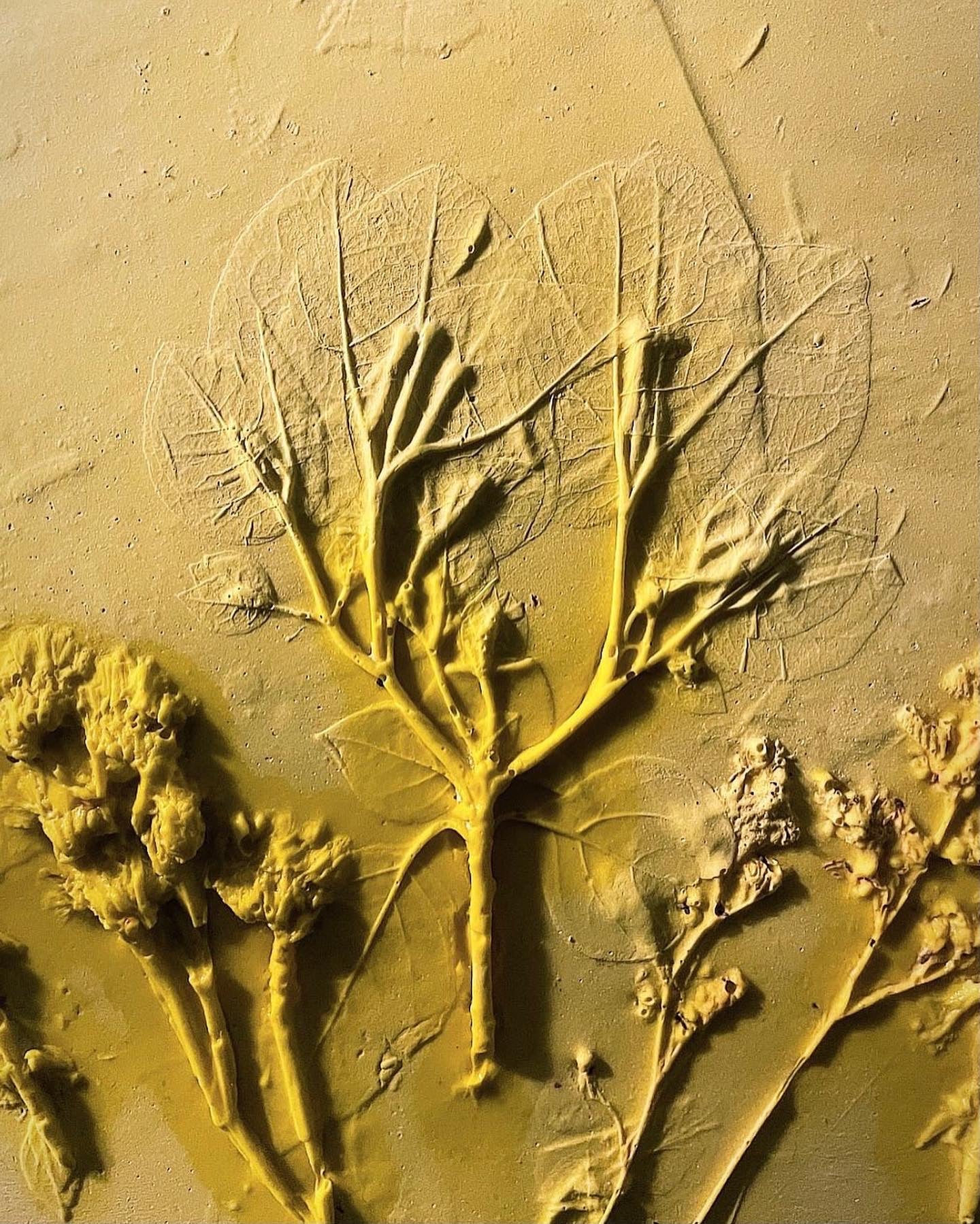 Floral Fossil Workshop - ورشة بلاطة الورد