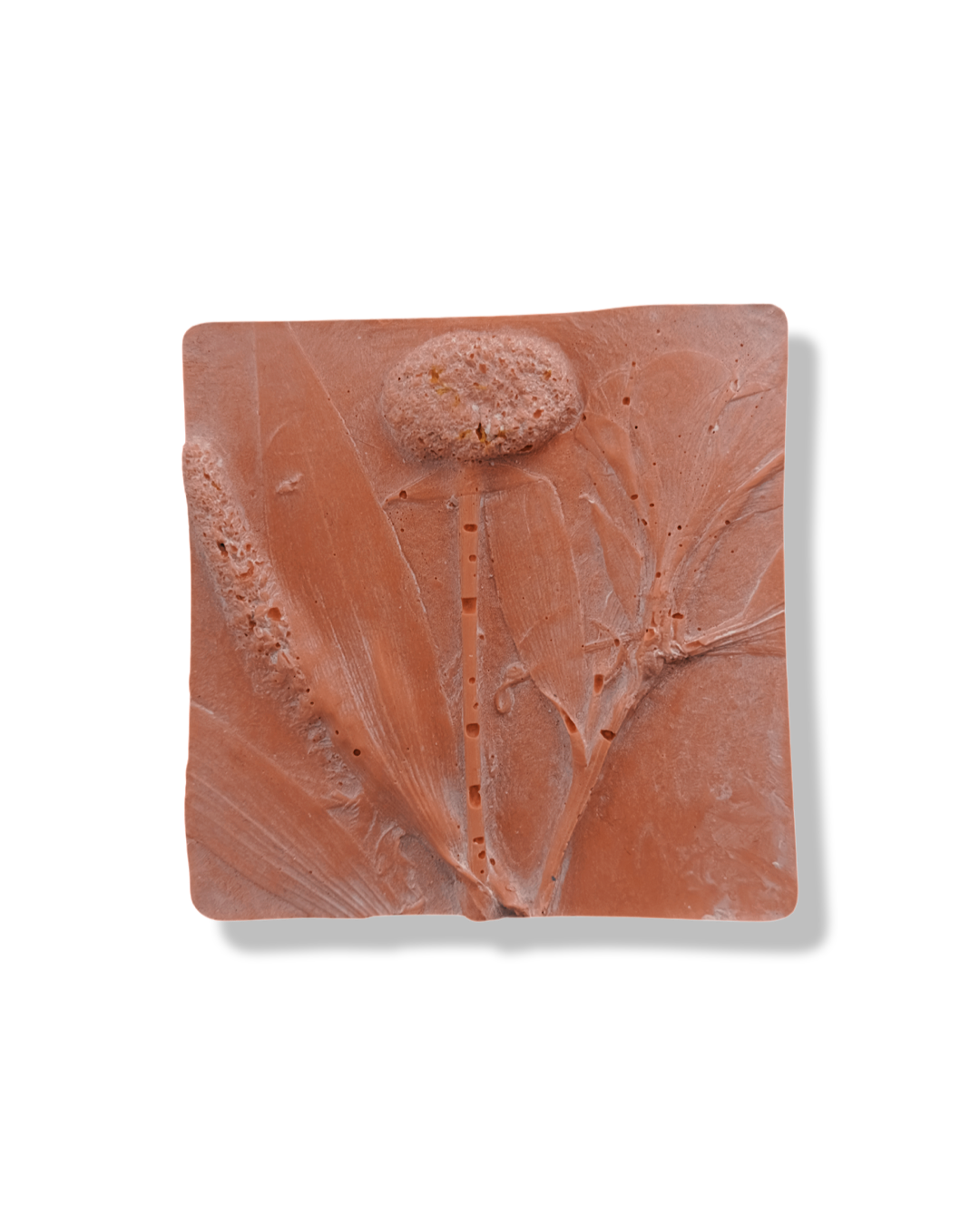 Floral Fossil Workshop - ورشة بلاطة الورد