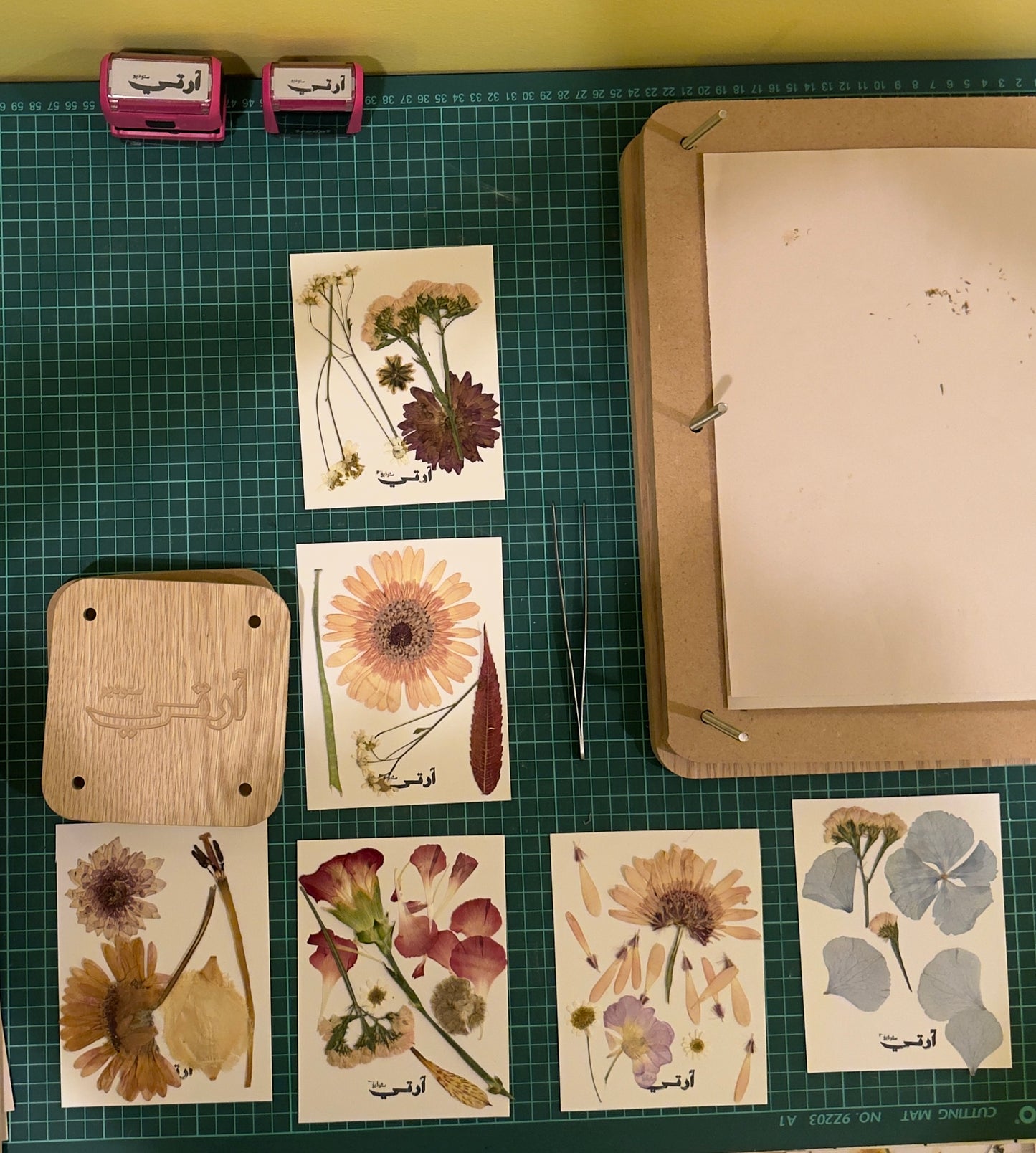 Assorted dried Flowers - Pack