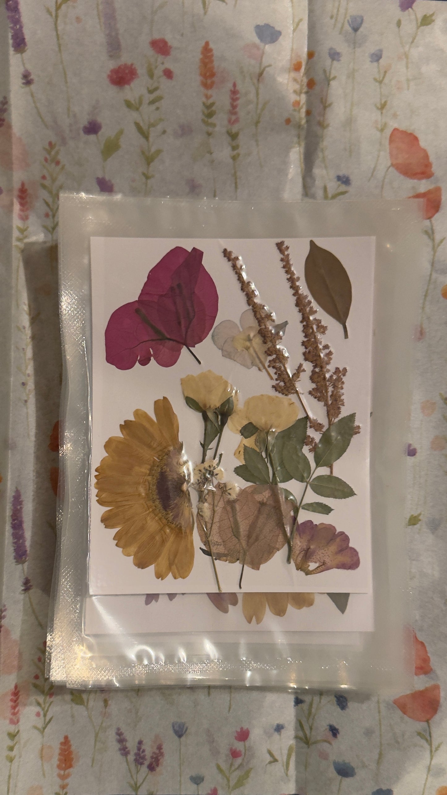 Assorted dried Flowers - Pack