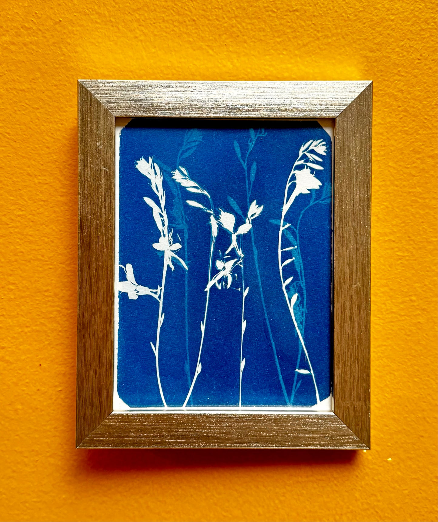 Nature in Motion (15x18.5cm)