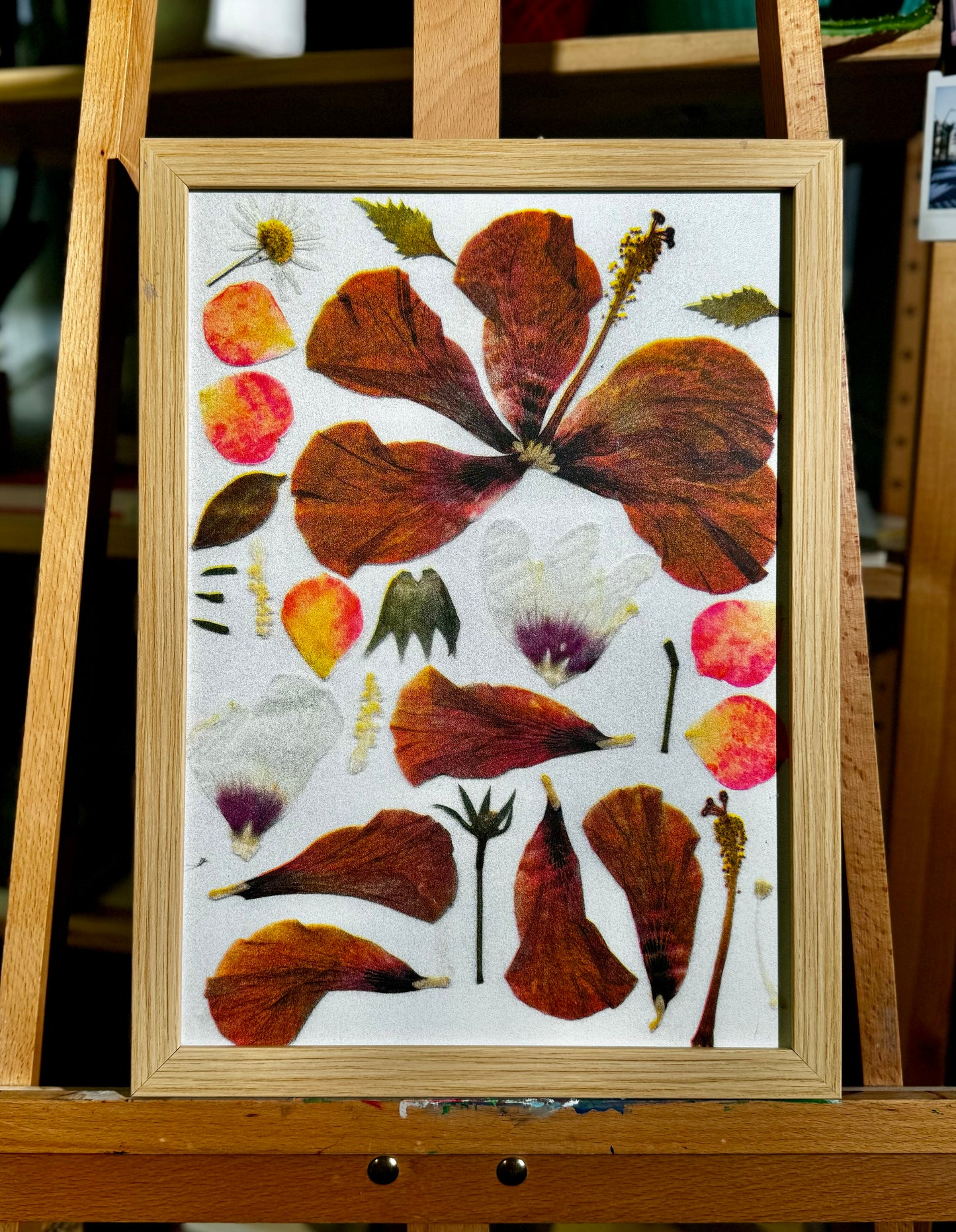 Hibiscus Flower Poster (A3)