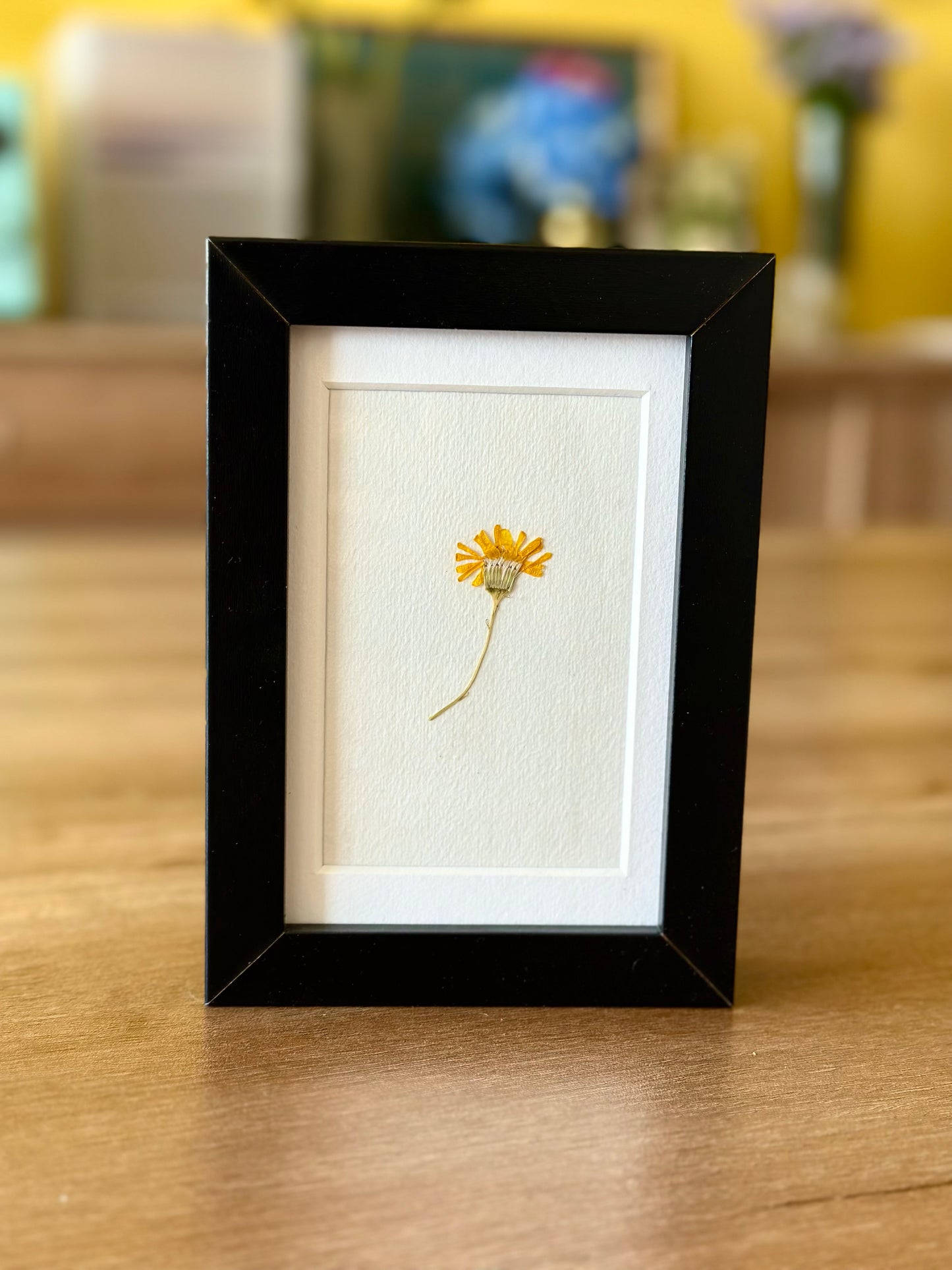 Pressed and Framed Local Nowwair