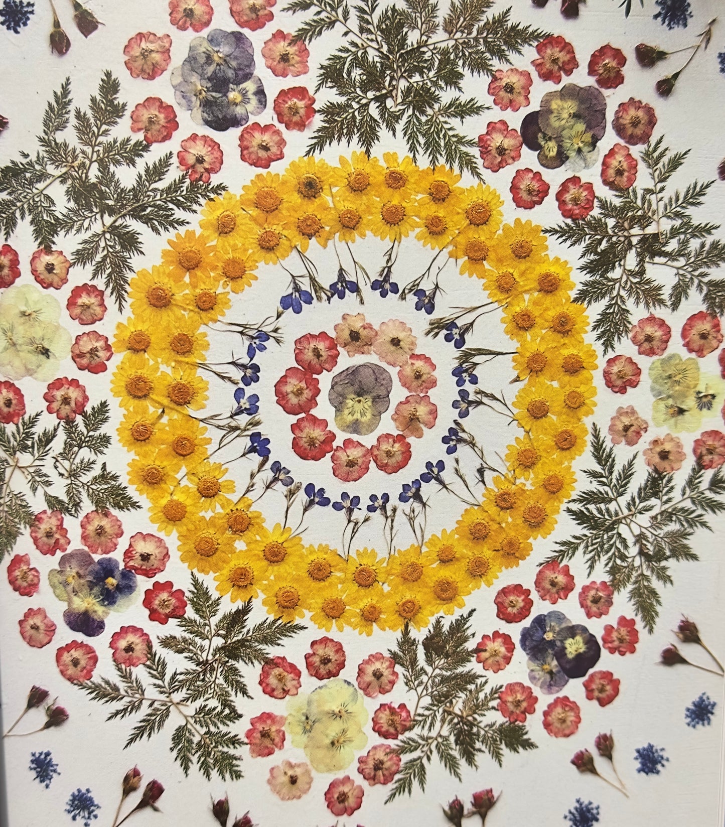 Art with Dried flowers Workshop - الفن مع الورد المجفف