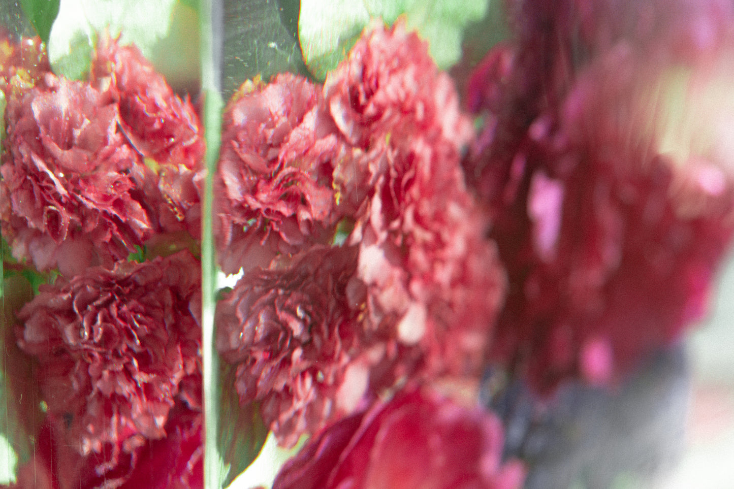 Eternal Blossom - flowers in resin