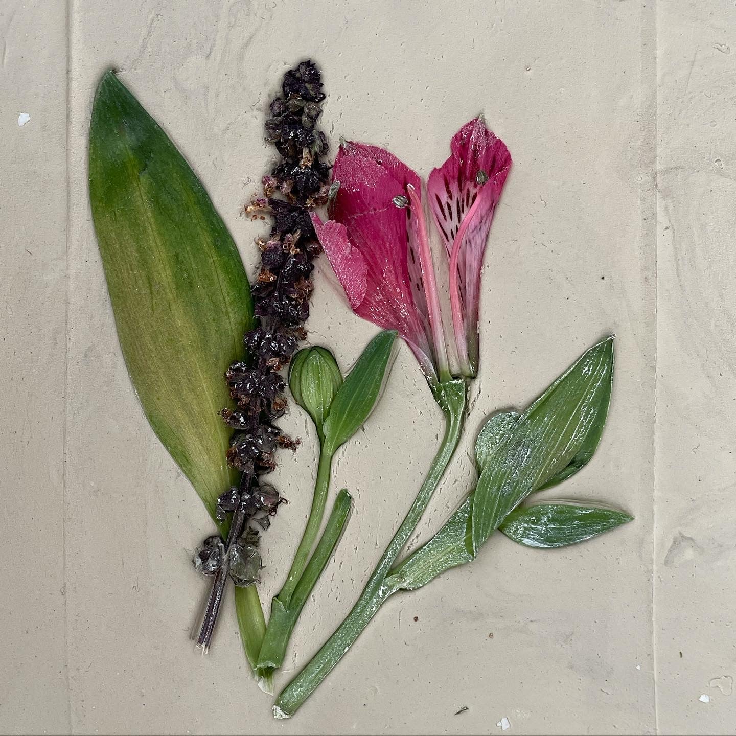 Floral Fossil Workshop - ورشة بلاطة الورد