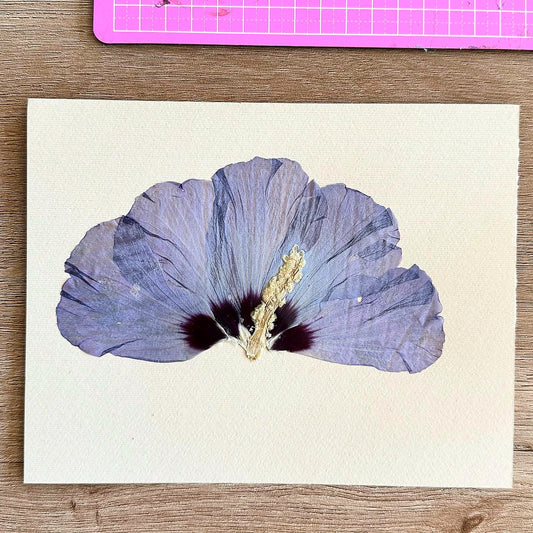 Art with Dried flowers Workshop - الفن مع الورد المجفف