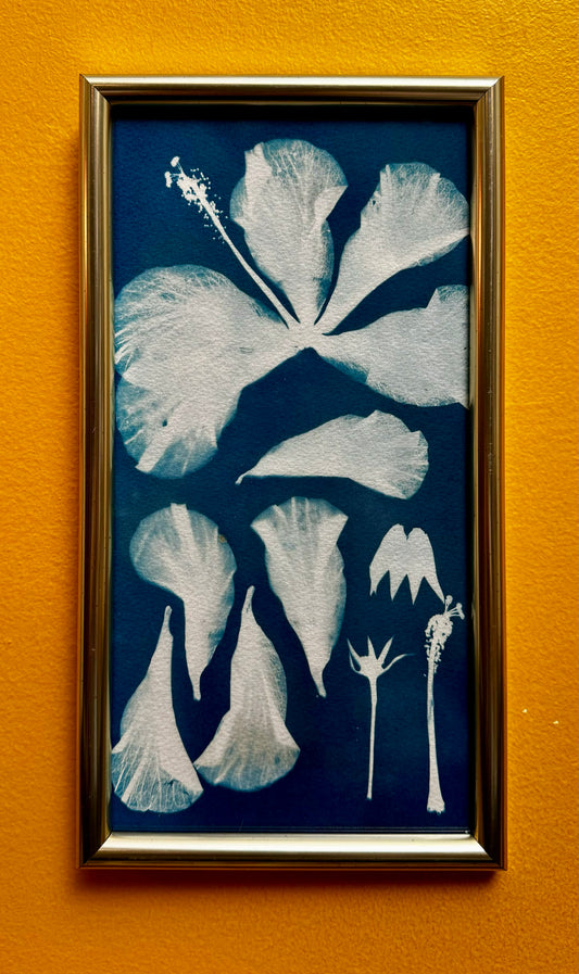Hibiscus Silhouettes (17x31.5cm)