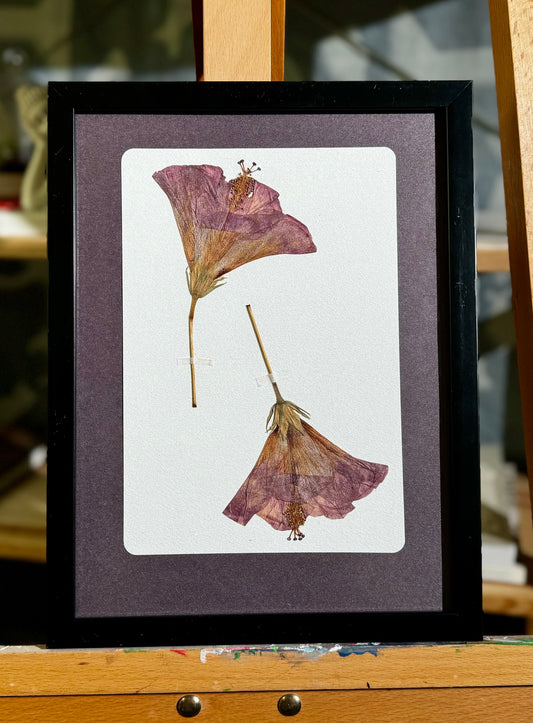 Hibiscus Love (23x30 cm)